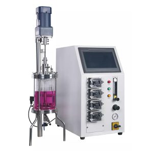 Reator enzimático de vidro