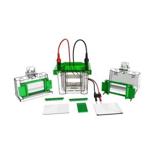 mini célula de eletroforese vertical