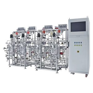 fermentador paralelo múltiplo em aço inoxidável