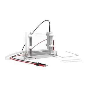 célula de eletroforese vertical